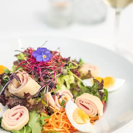 Alpenhotel Tirolerhof فندق 4*